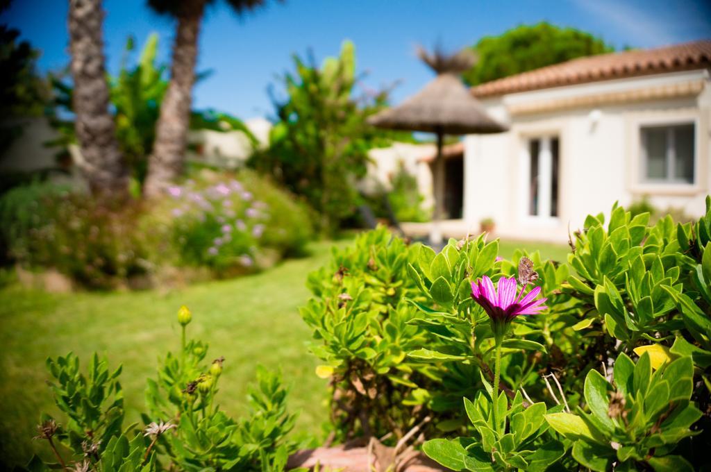 Le Clos De L'Olivade Saint-Just  エクステリア 写真